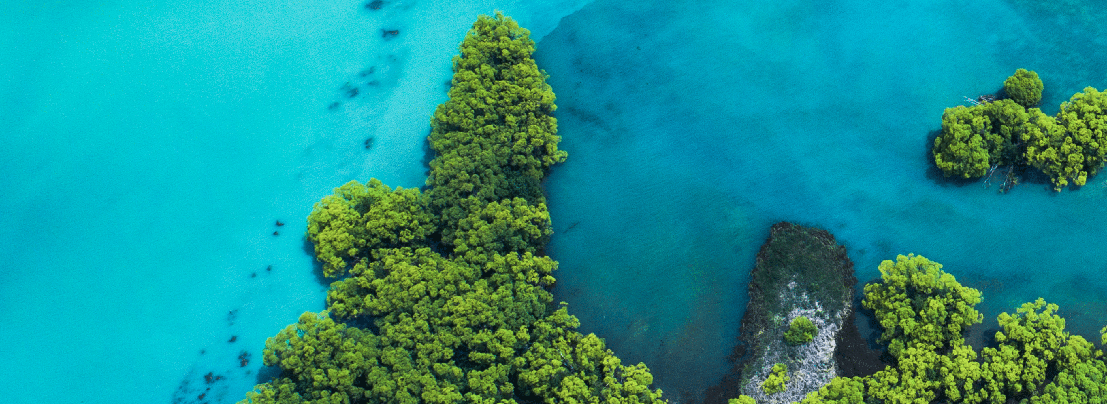 Aerial view of a lush coast meeting crystal blue water