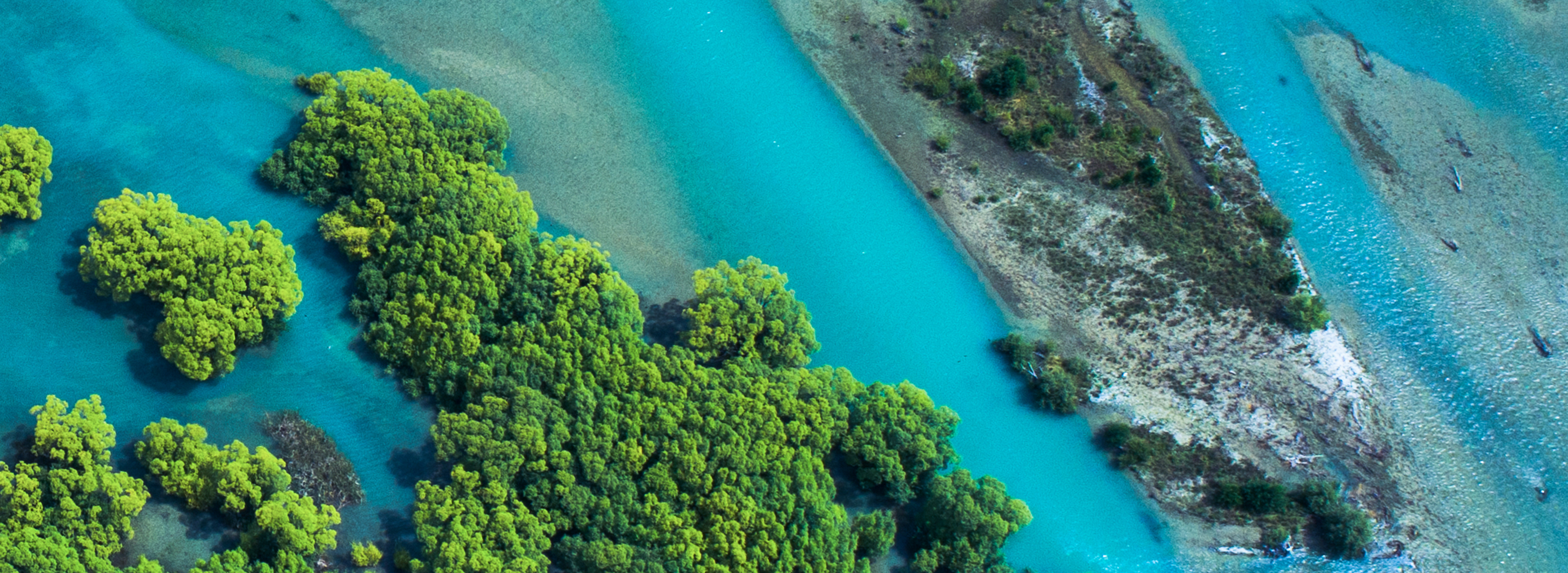 Aerial view of a lush coast meeting crystal blue water