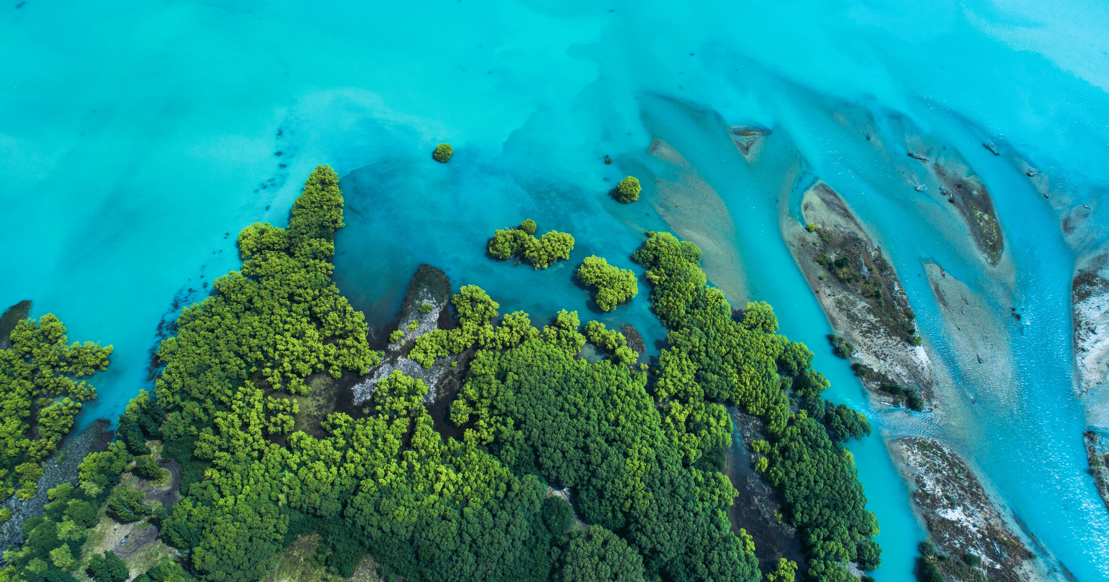 Aerial view of a lush coast meeting crystal blue water
