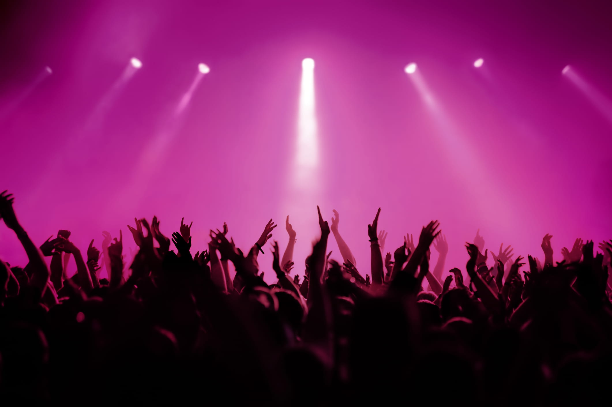 audience
