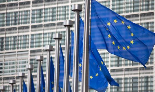 eu flag