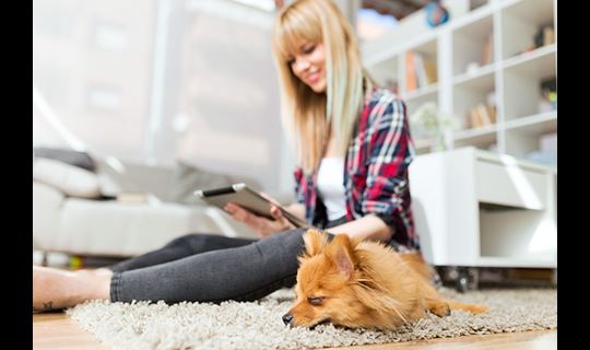 lady_tablet_dog