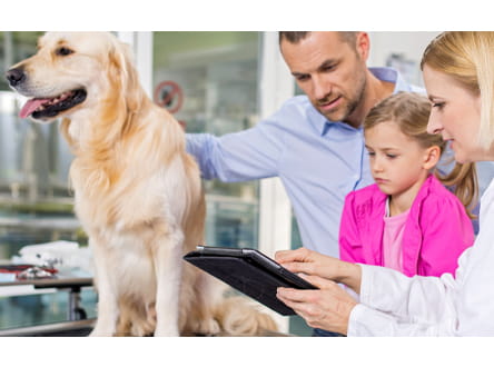 vet making recommendations to pet owner