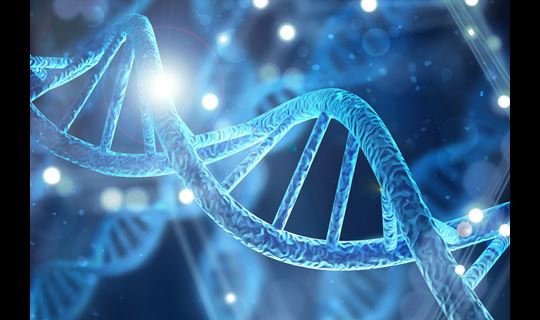 blue genes