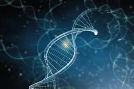 DNA double helix